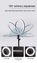 Load image into Gallery viewer, 26CM Lighting Phone Ringlight Tripod